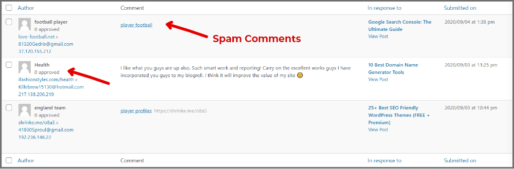 spam-comments-example